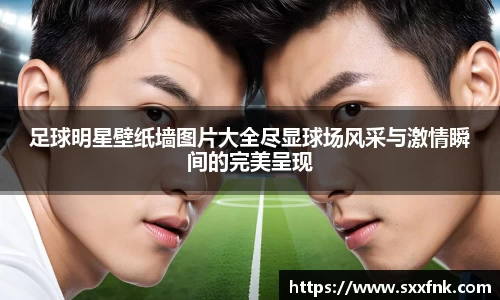 足球明星壁纸墙图片大全尽显球场风采与激情瞬间的完美呈现