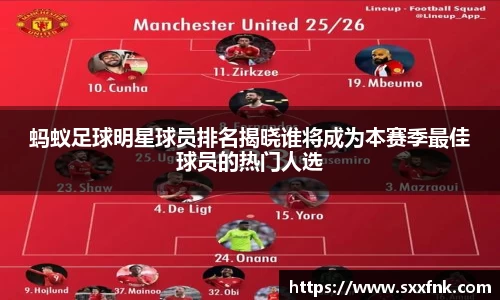 蚂蚁足球明星球员排名揭晓谁将成为本赛季最佳球员的热门人选